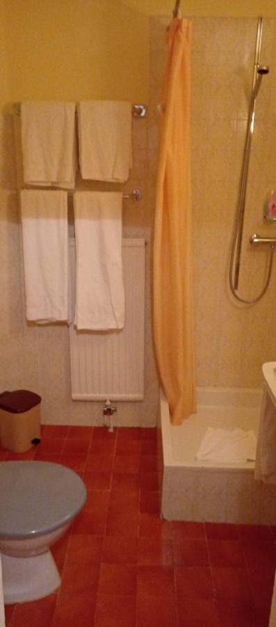 Garni Fluela Susch Hotel Buitenkant foto