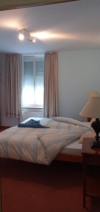 Garni Fluela Susch Hotel Buitenkant foto